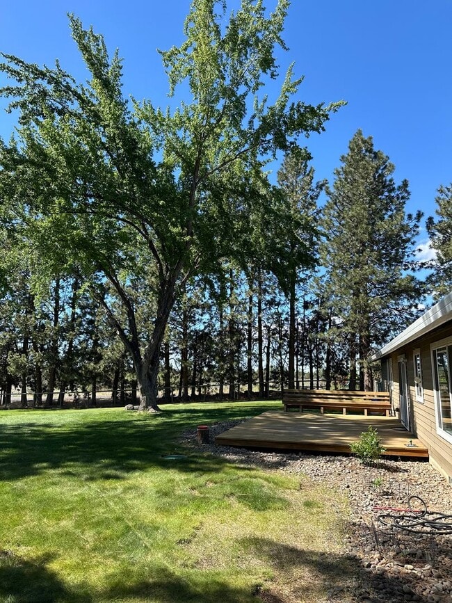 Building Photo - 3 Bed | 2 Bath | 1.17 Acres | Single-Level Home | Mountain Views