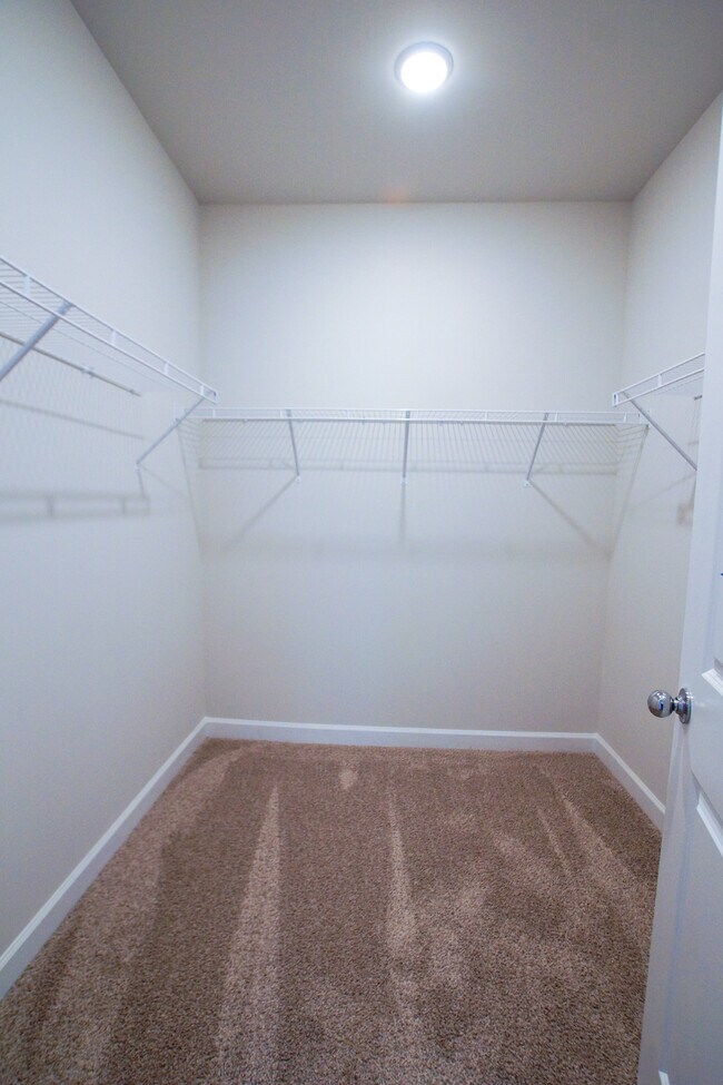 Building Photo - 313 Conrad Ln