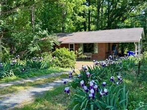 Building Photo - Charming Ranch in Carrboro with Beautiful ...