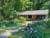Building Photo - Charming Ranch in Carrboro with Beautiful ...