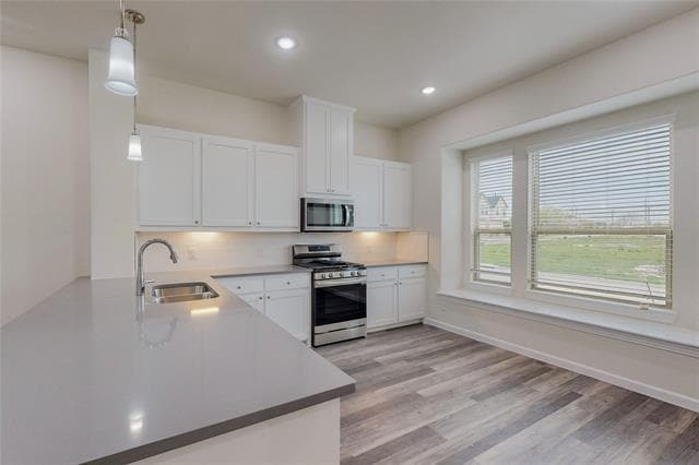 Building Photo - 16062 Doe Lk Dr