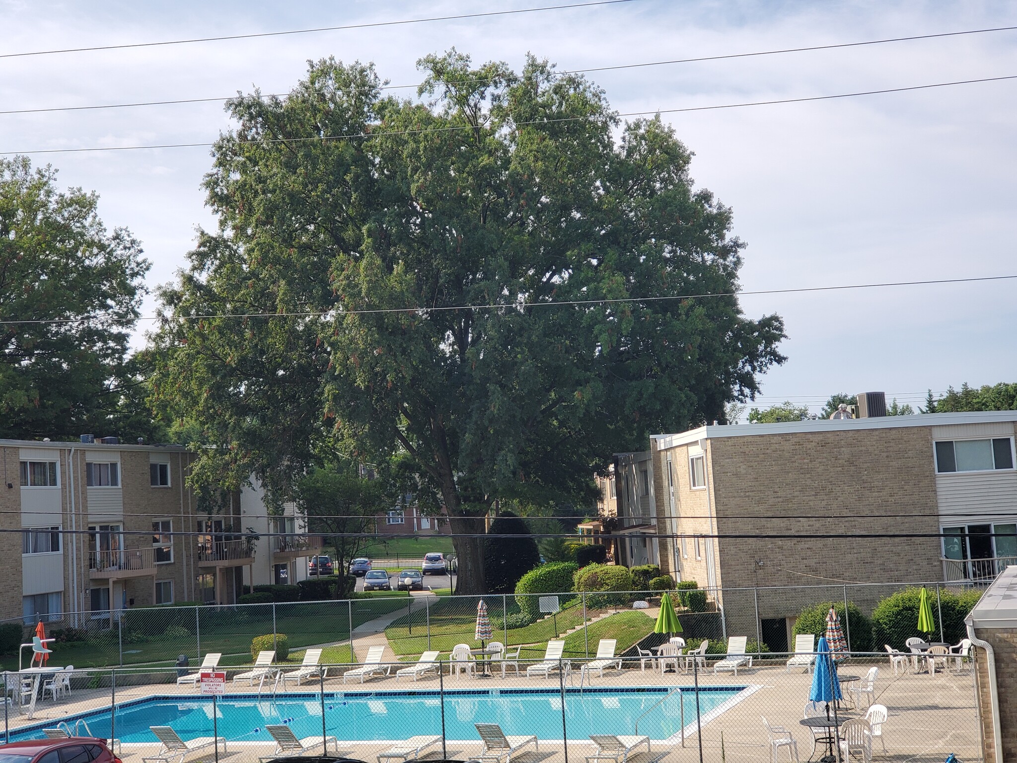 Great swimming pool to beat the summer heat - 3133 University Blvd W