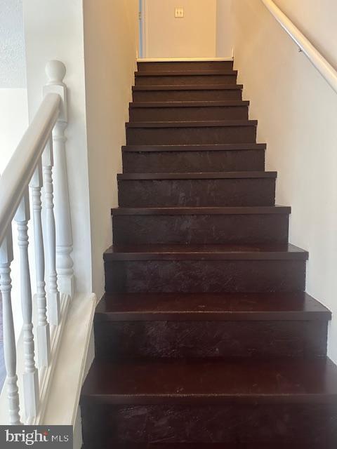 Building Photo - 353 Braeside Ave