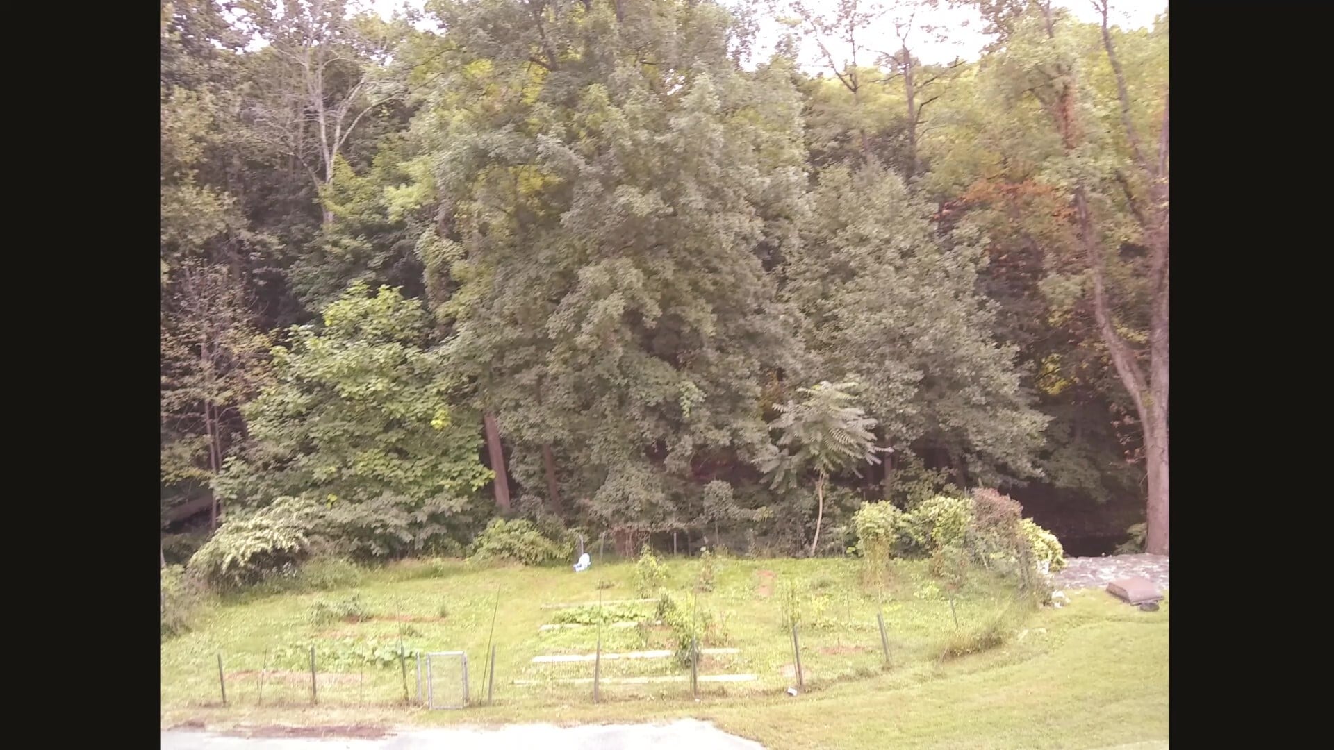 Yard - 105 Osborne Ave