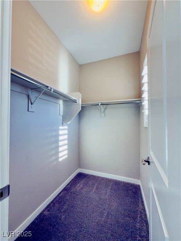 Building Photo - 2711 Evolutionary Ln