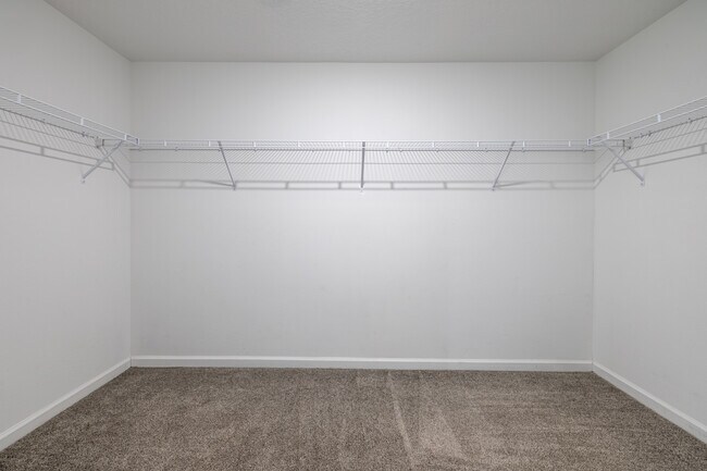 Building Photo - 5071 Four Strand Ct