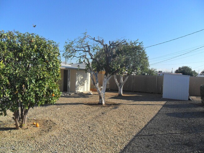 Building Photo - 11356 N 113th Ave