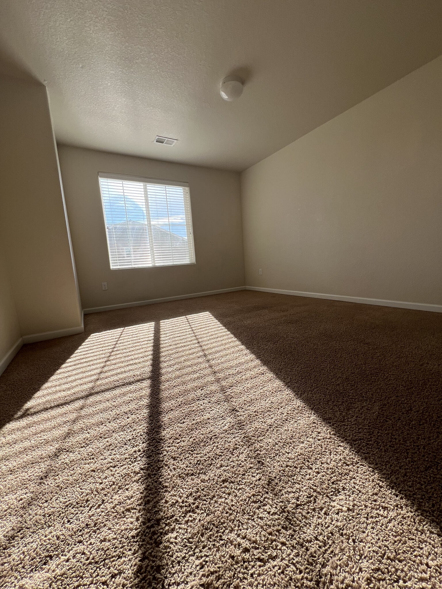 Building Photo - 1229 Bistre St