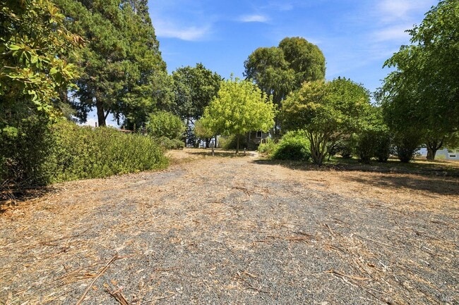 Building Photo - 143 Lone Oak Ln