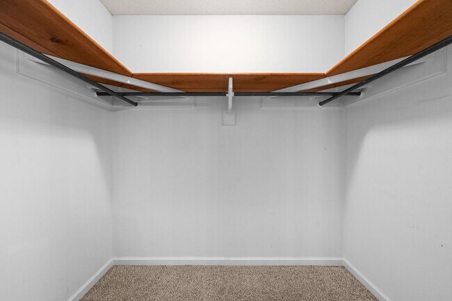 Building Photo - 4 Bedroom Home For Rent in St. B Area of Clarksville!