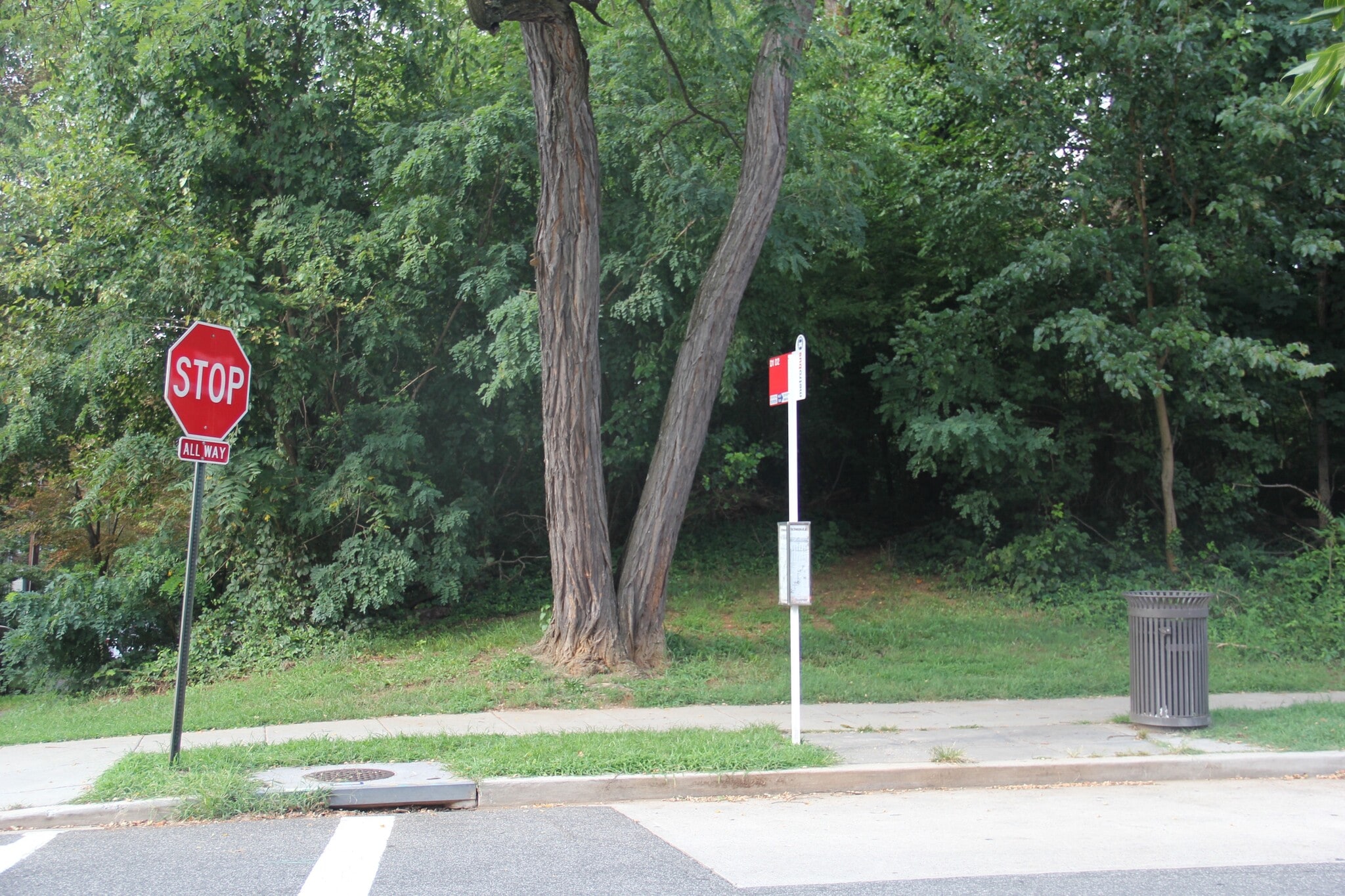 Street in front of the apartment building - 4034 Calvert St NW