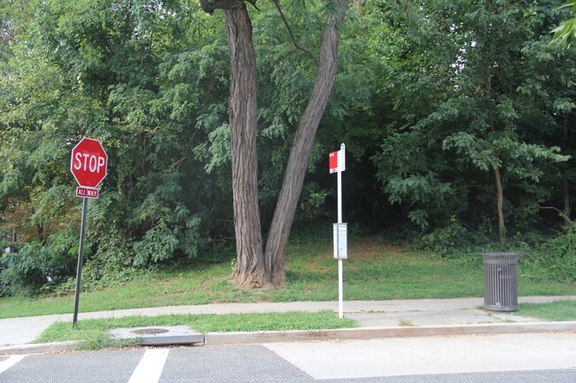 Street in front of the apartment building - 4034 Calvert St NW