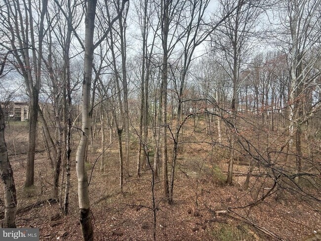 Building Photo - 18520 Boysenberry Dr