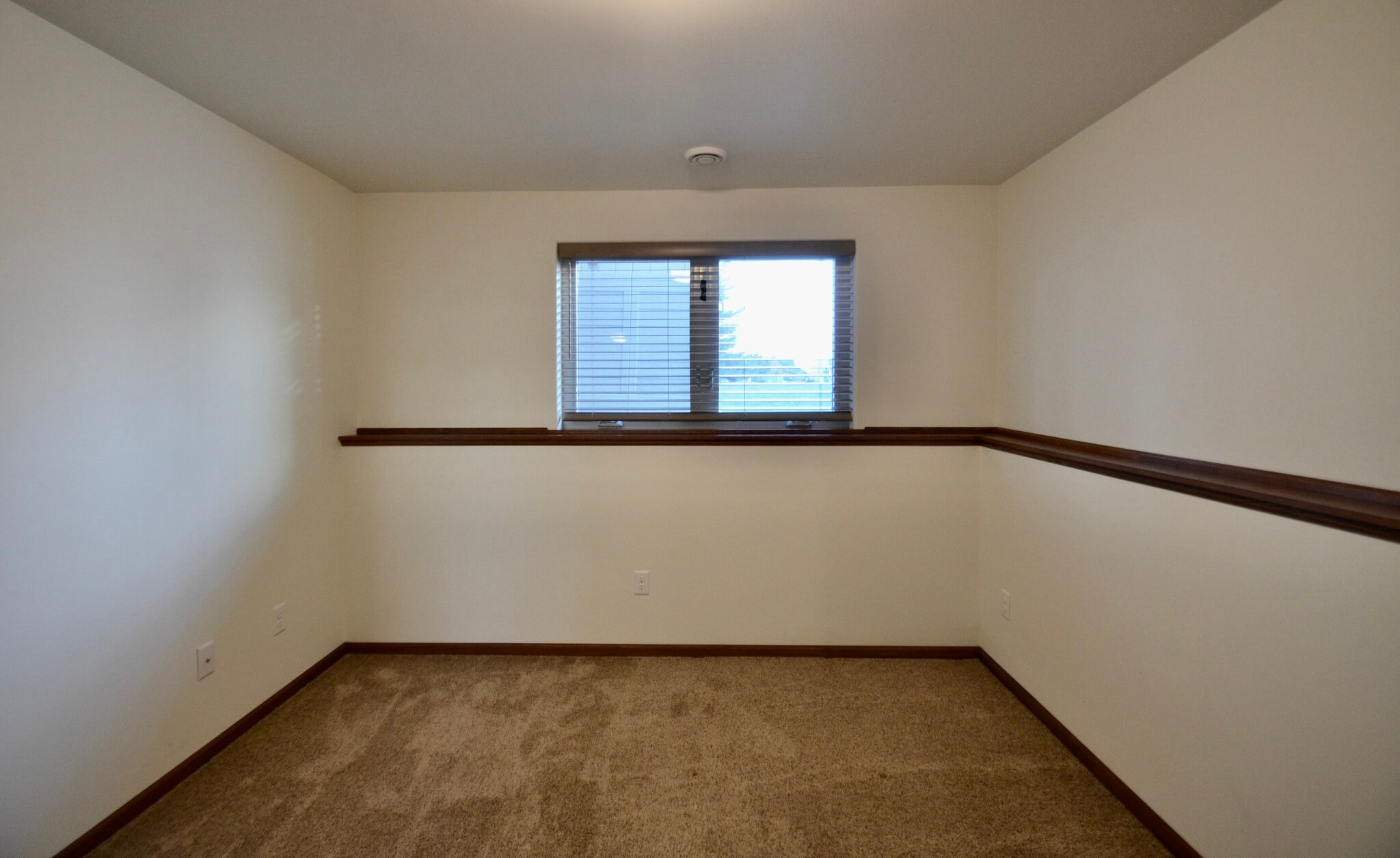 Bedroom 3 lower - 445 Foxtail Dr