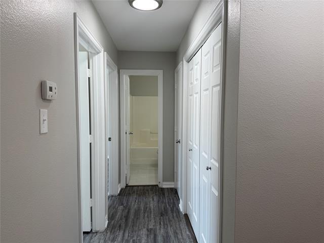 Building Photo - 4815 Mexico Ct