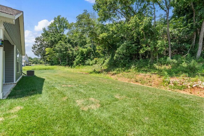 Building Photo - Spacious, Modern Ranch in Rossview!