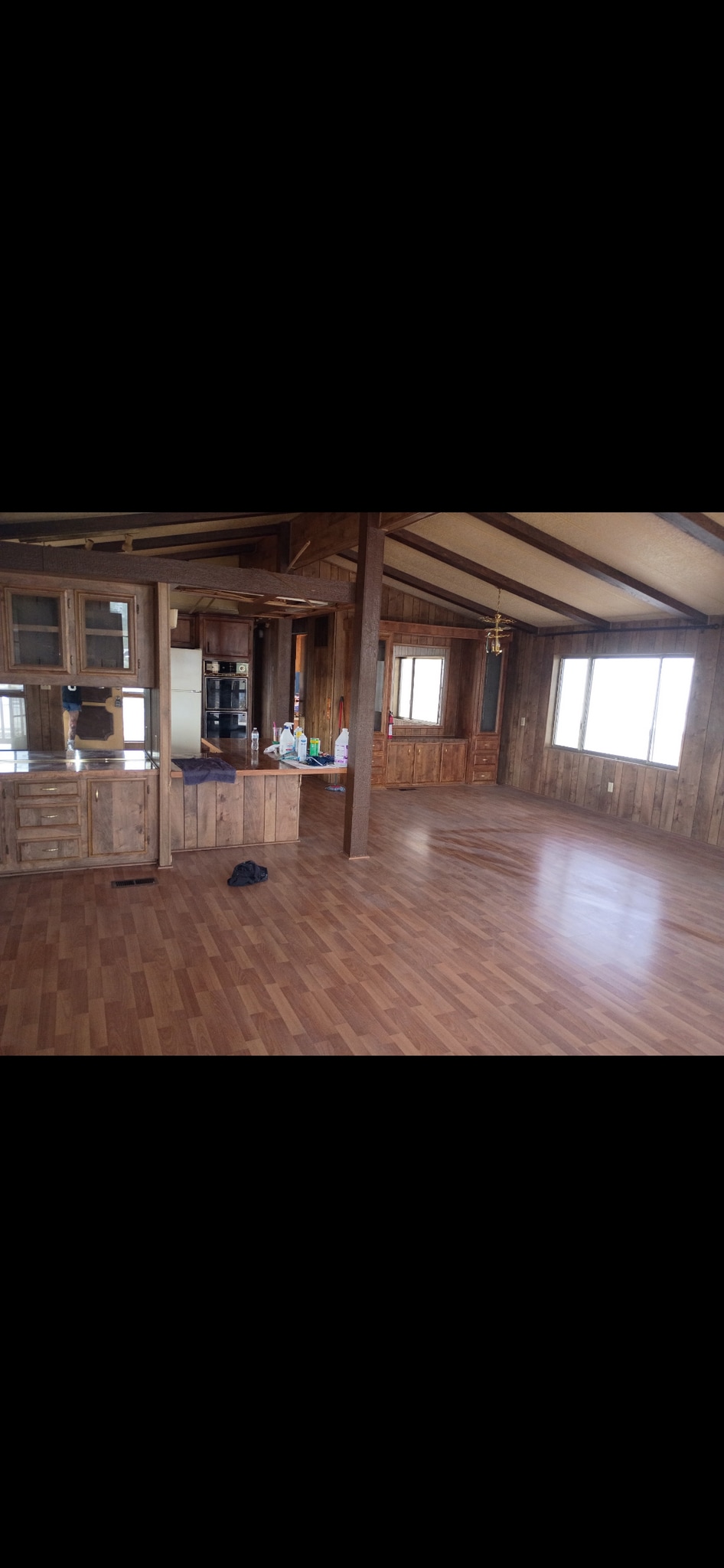 Living room - 203 Shoshone Ln