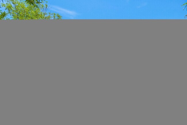 Building Photo - 7509 N Vía Del Elemental