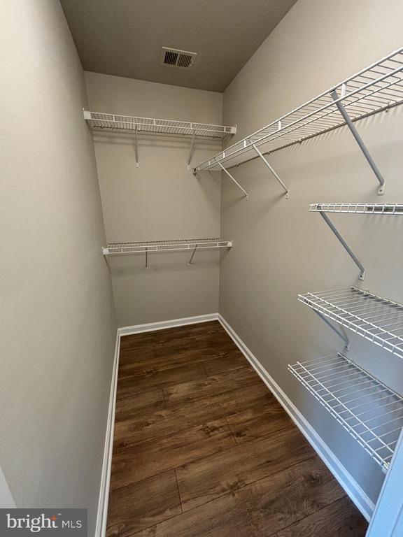Building Photo - 115 Chamomile Ct