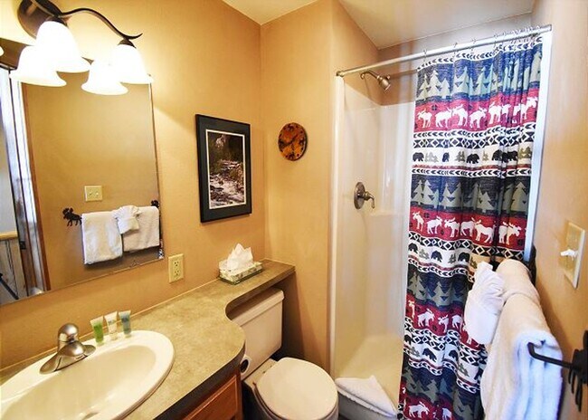Building Photo - Winter Seasonal Rental- Lake Dillon Condos 108
