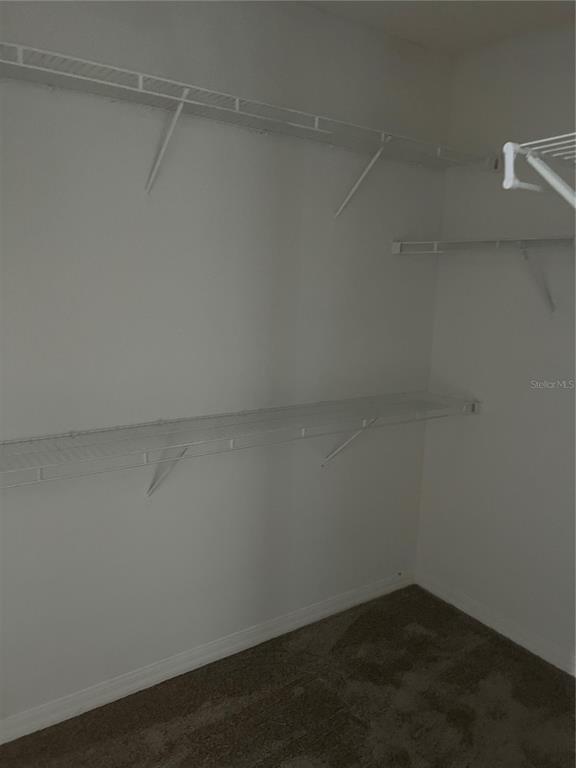 Building Photo - 3614 Umbrella Ct