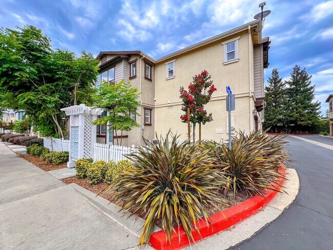 Building Photo - South Napa Three Bedroom House