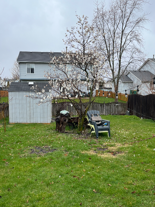 Building Photo - 2541 Stonybrook Dr