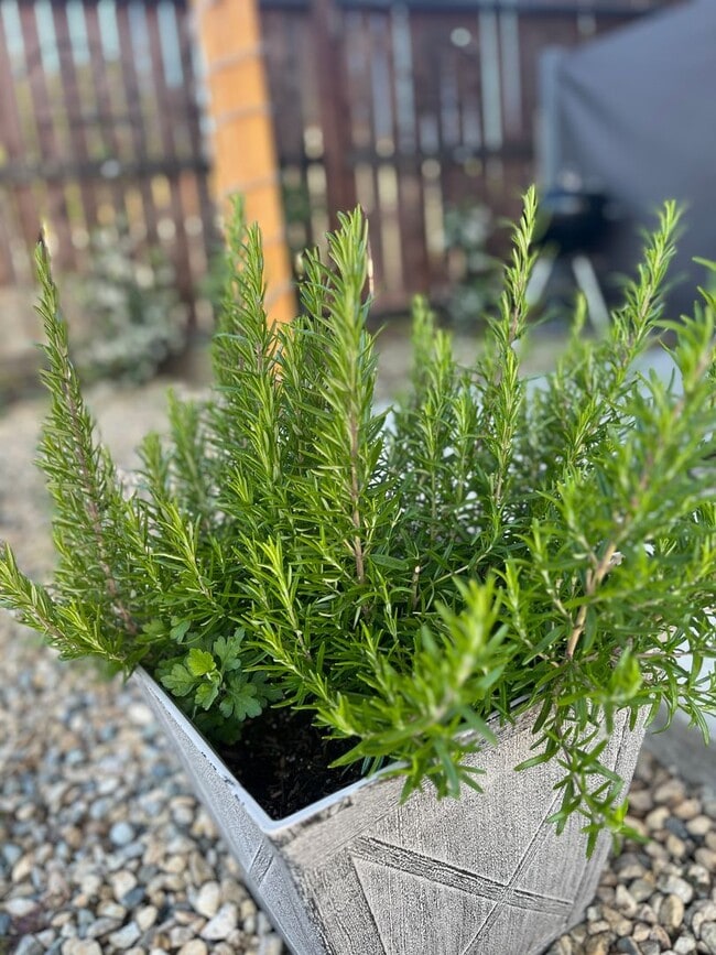 Building Photo - Karin's Kottage-New 2 Bedroom/2 Bath Furnished or Unfurnished Oasis for Lease