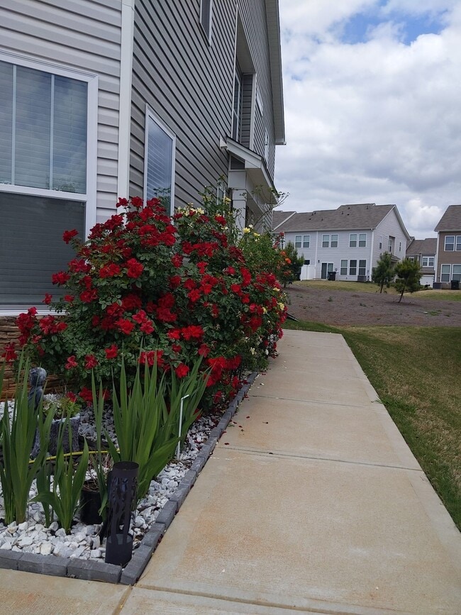 Building Photo - 25 Planters Pl