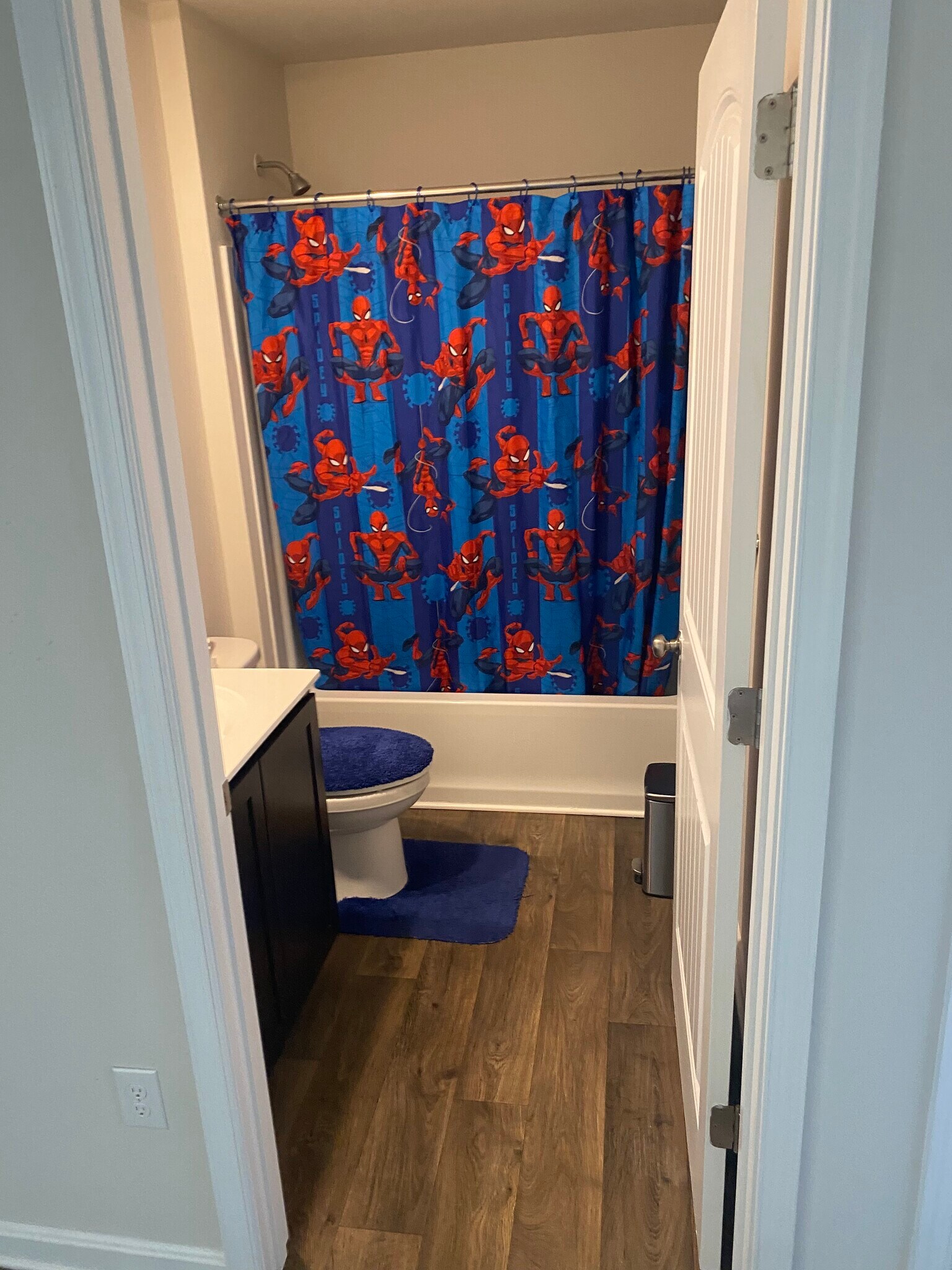 Building Photo - 241 Sedmont Cir