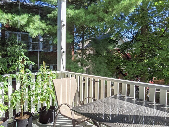 Porch - 30 Buena Vista Park