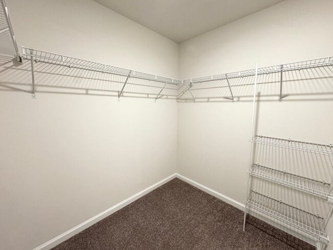 Building Photo - Conway - 4 Bedroom / 2 Bathroom House