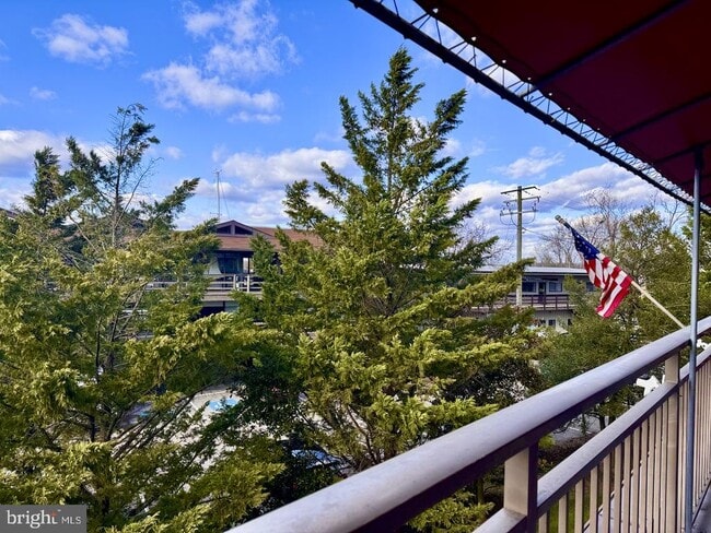 Building Photo - 100 Severn Ave