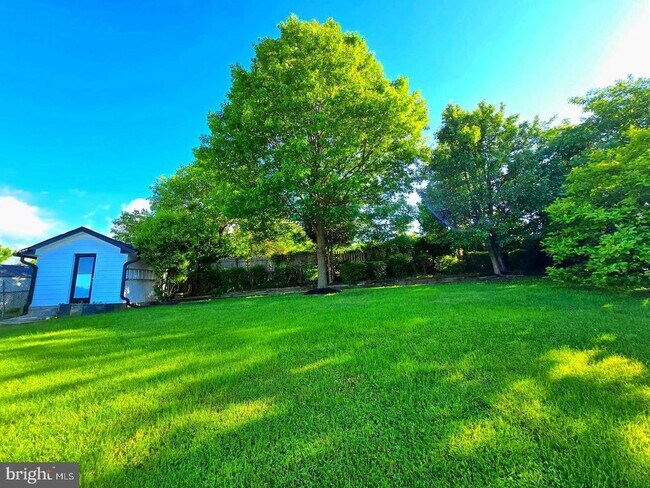 Building Photo - 6065 Munson Hill Rd