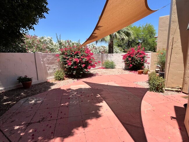 Building Photo - 7955 E Chaparral Rd