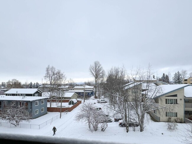 Building Photo - 1170 Denali St