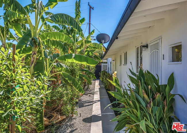 Building Photo - 459 E Avenida Olancha