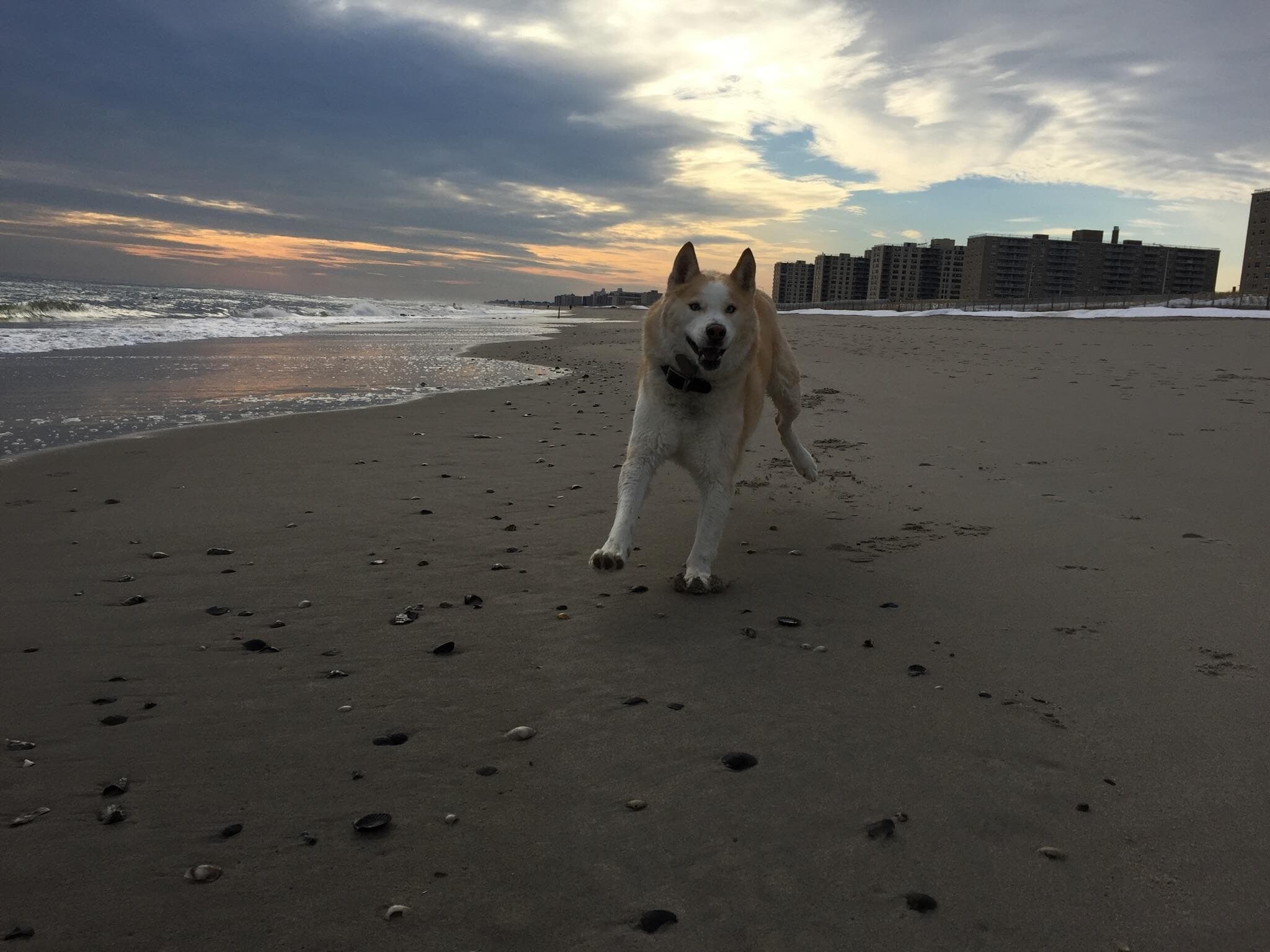 Building Photo - 176 Beach 97th St