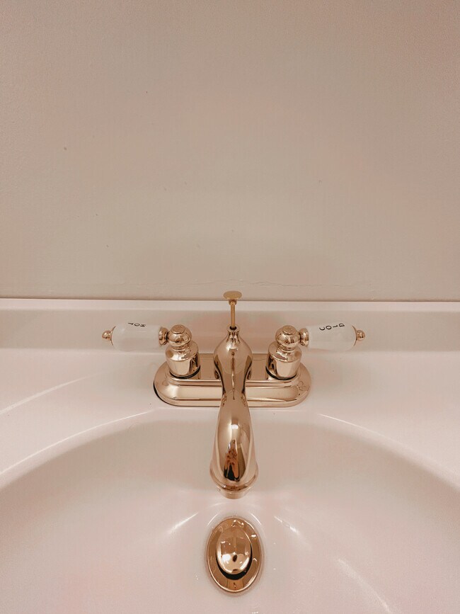 Bright and shiny details in the bathroom - 2705 S Kingshighway Blvd