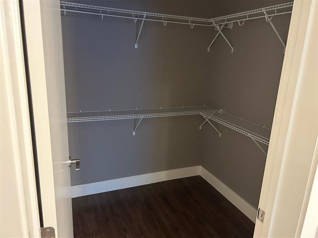 Building Photo - 3517 Windhaven Pkwy