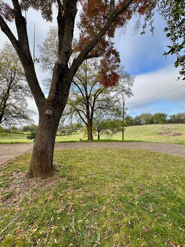 Building Photo - 6181 Wise Rd