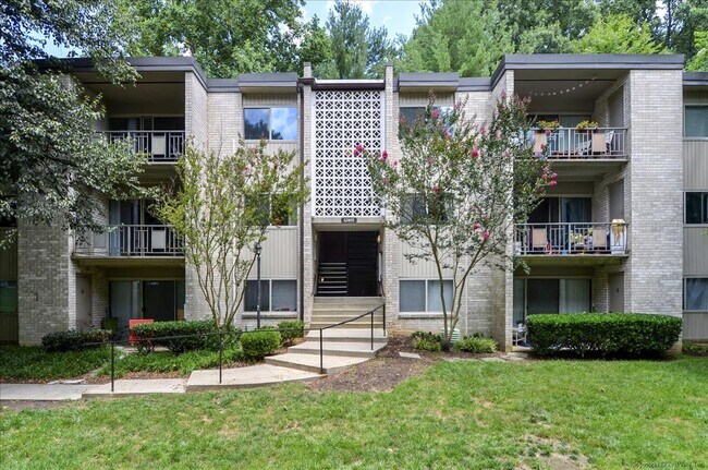 Primary Photo - Spacious & Updated 2BD/1BA - All Utilities...