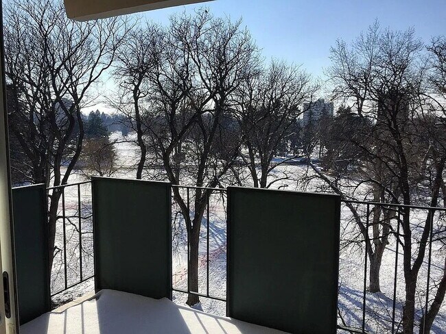 Building Photo - Immediate Availability! Overlook Cheesman ...