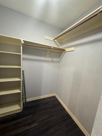 Building Photo - 1126 Holly Dr