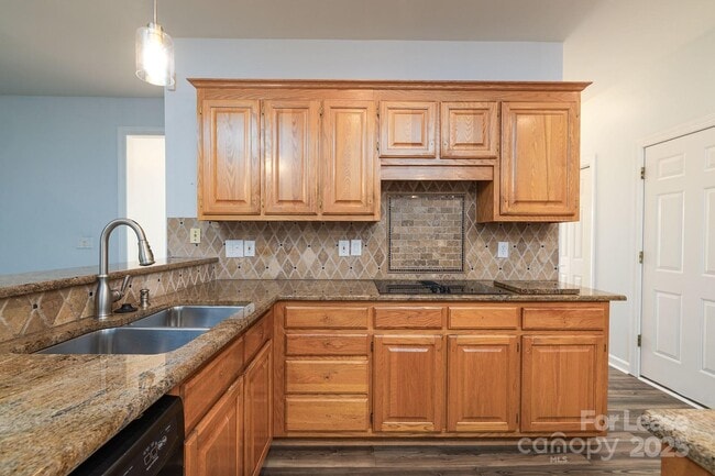 Building Photo - 5238 Downing Creek Dr