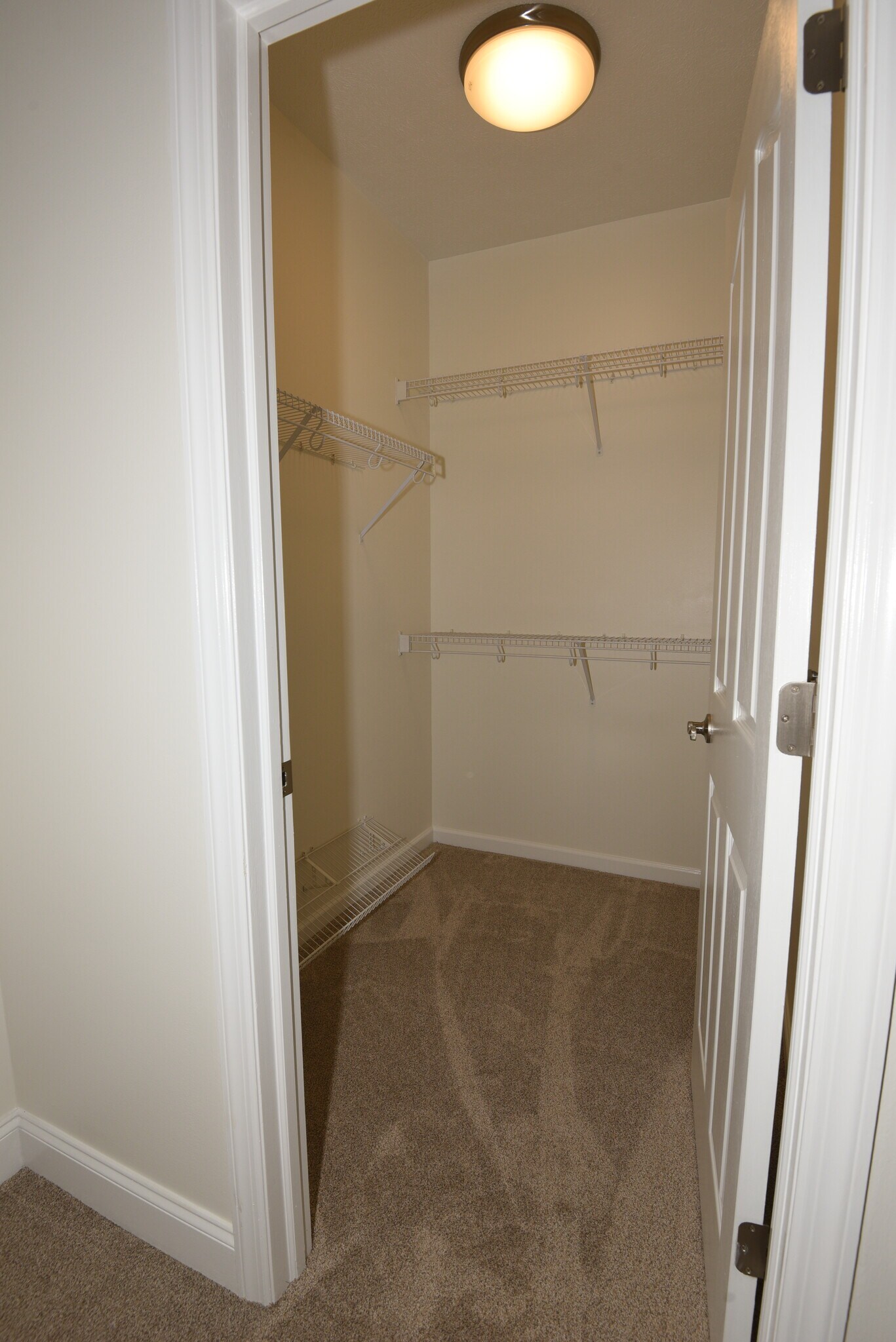 Walk in Closet - 207 Adams Pointe Blvd
