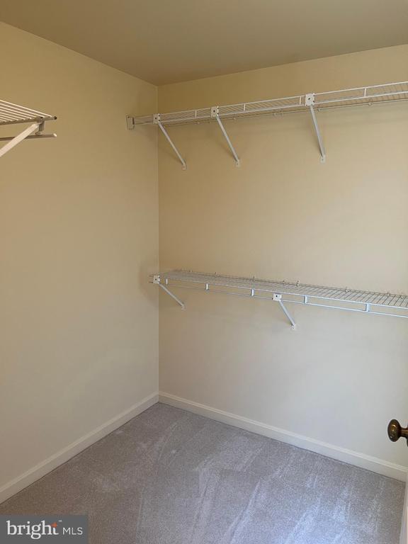 Building Photo - 6824 Silassie Ct