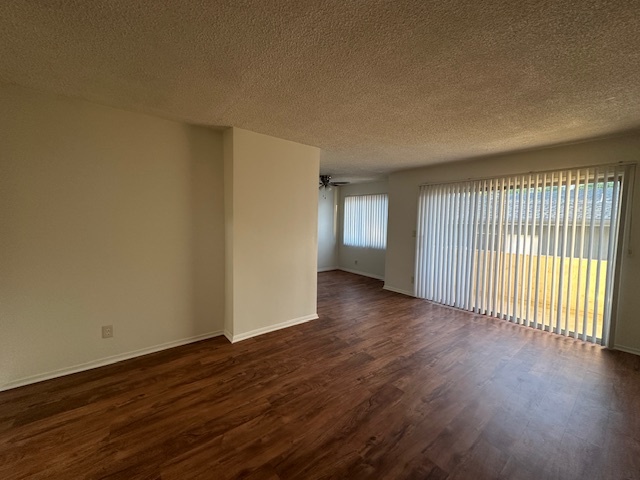 Living Room Apt.6 - 1247 Amherst Ave