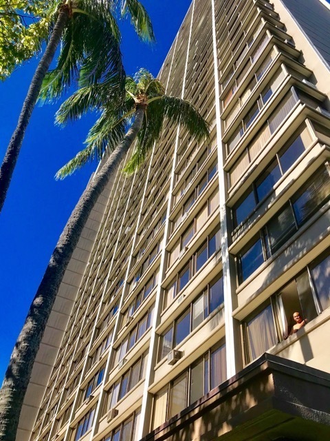 Building Photo - Convenient 1/1/1 at Kukui Plaza