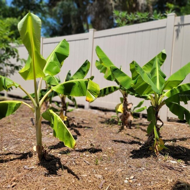 Building Photo - 3624 Peck St